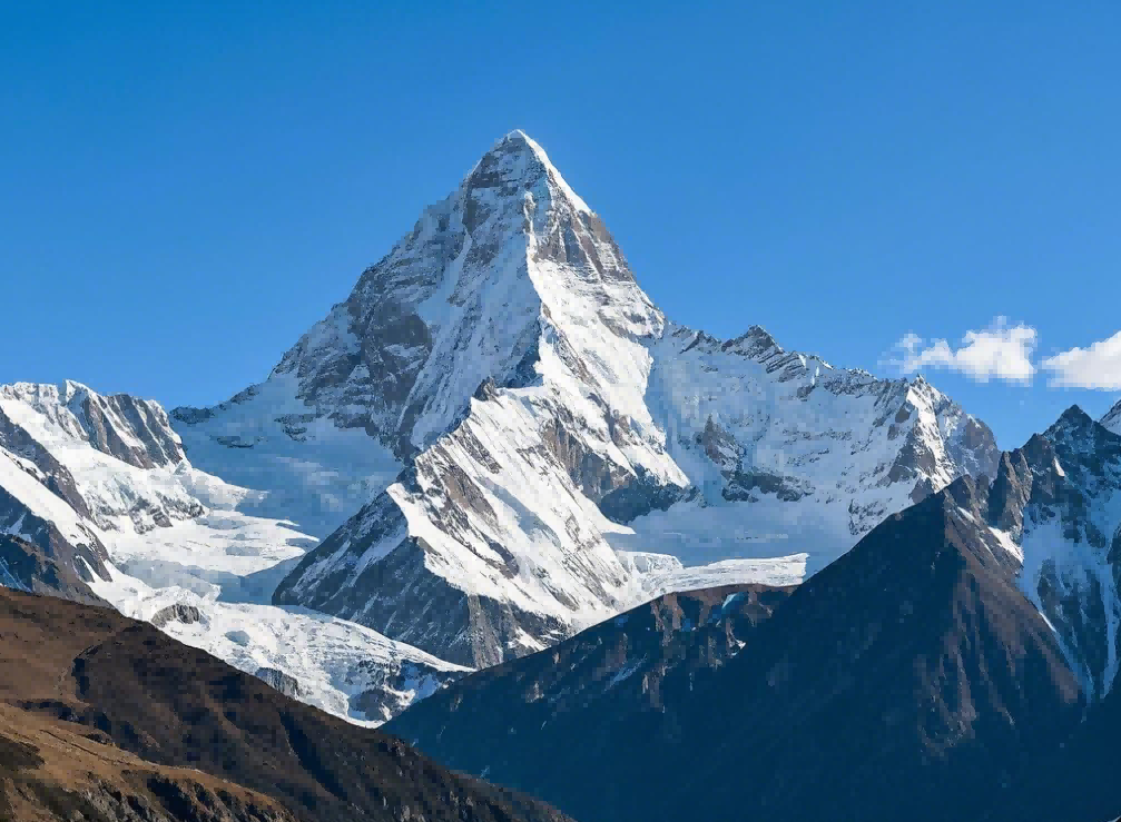 金黄油菜花：似梦画卷，摇曳着春日的芬芳与浪漫(图1)