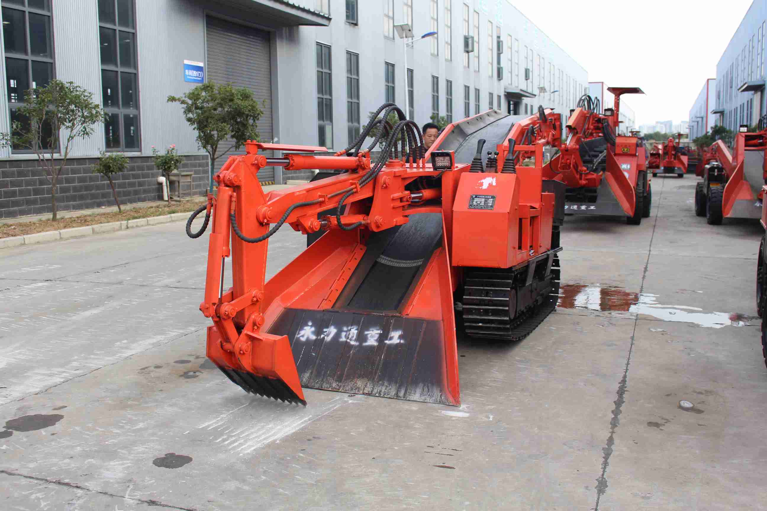 朝花夕拾读后感：品岁月之味，悟成长真谛 400 字(图1)