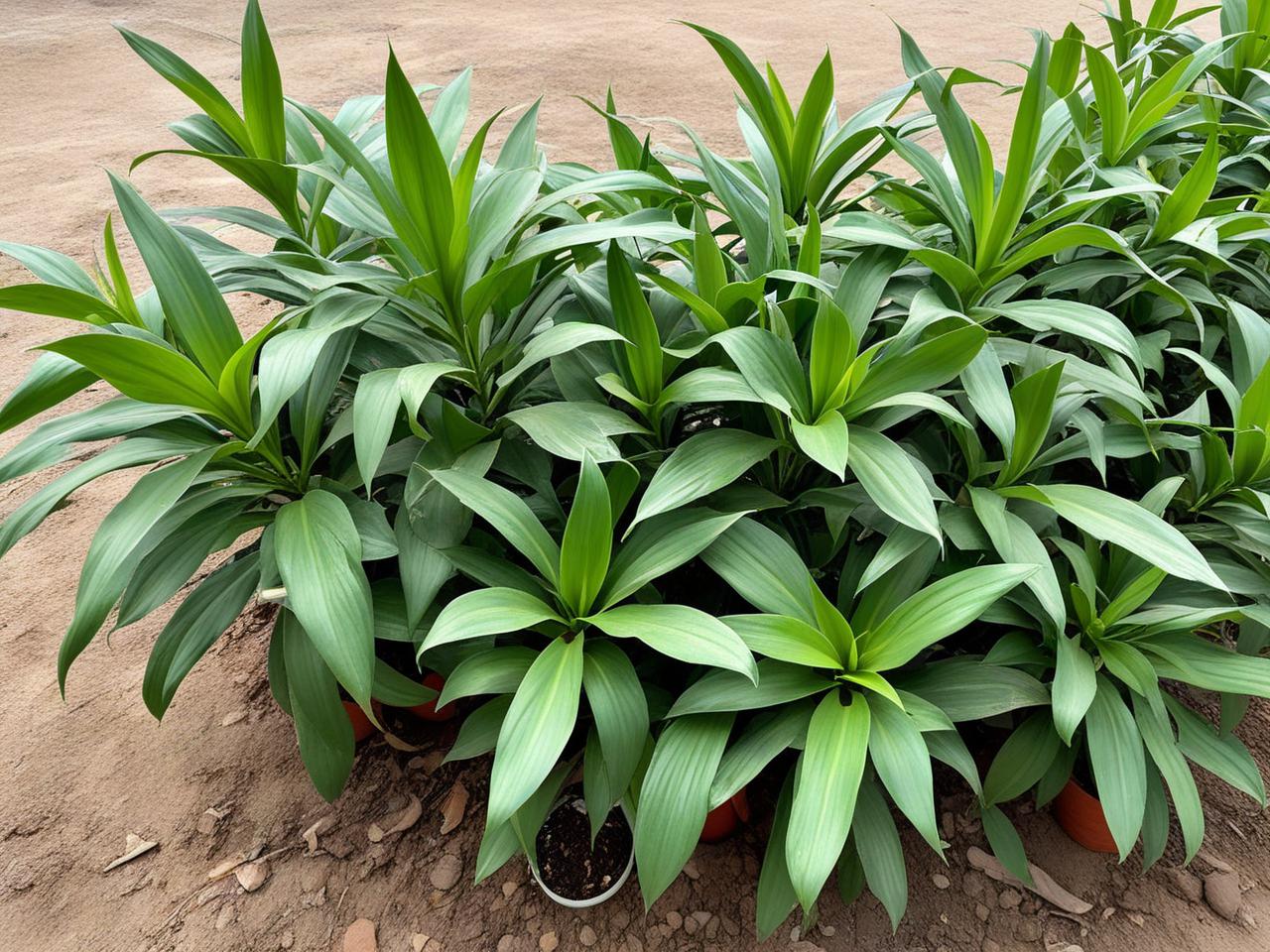 莫言经典语录中的人生感悟:穿透岁月的智慧启迪(图1) 莫言经典语录中的人生感悟:穿透岁月的智慧启迪(图1)